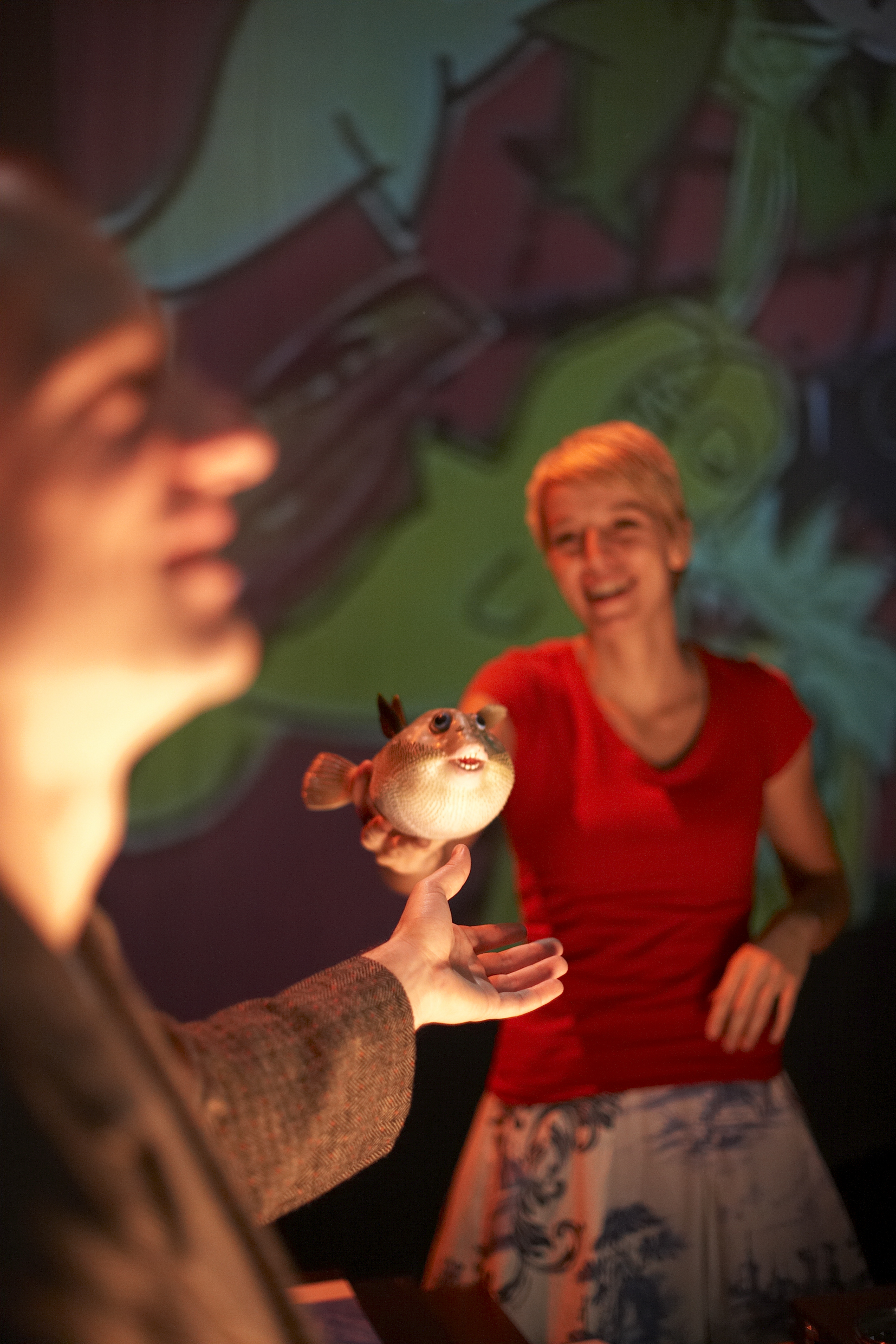 prinses zkt ridder – theater - afbeelding 4